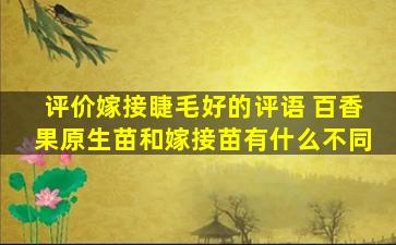 评价嫁接睫毛好的评语 百香果原生苗和嫁接苗有什么不同